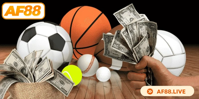 Lưu ý khi áp dụng kinh nghiệm cá cược nhà cái