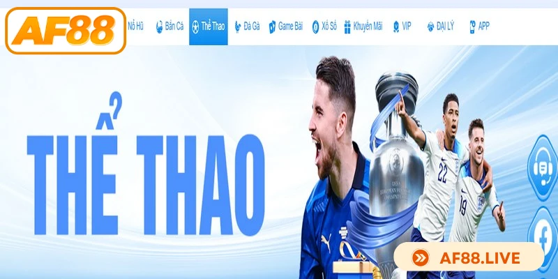 Sự cố không nhận được phản hồi từ hỗ trợ khách hàng tạo lo lắng