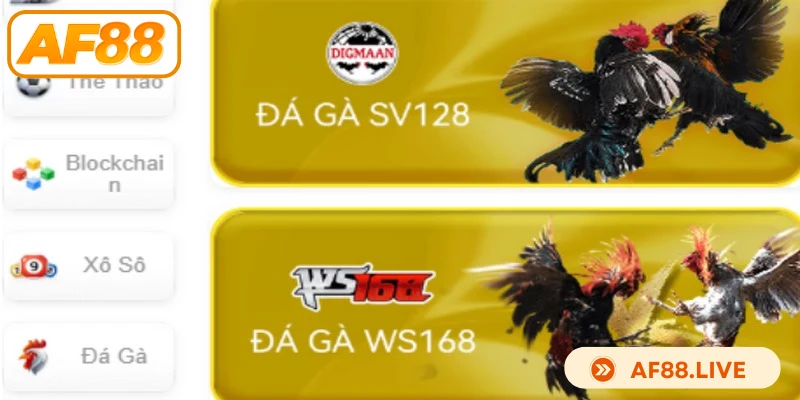 Đá gà AF88 tạo nên sức hút mạnh nhờ cách tái hiện trận đấu chân thực 