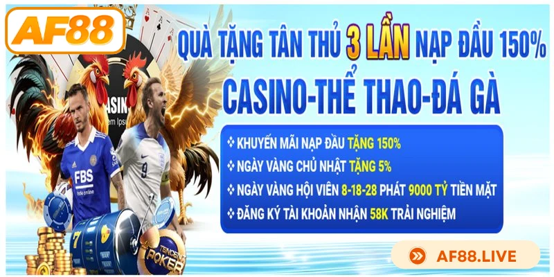 Nâng cao độ tin cậy qua mục hướng dẫn rõ ràng, minh bạch