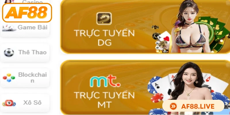 Tính năng lưu trữ, quản lý vốn cược chặt chẽ AF88 ra sao