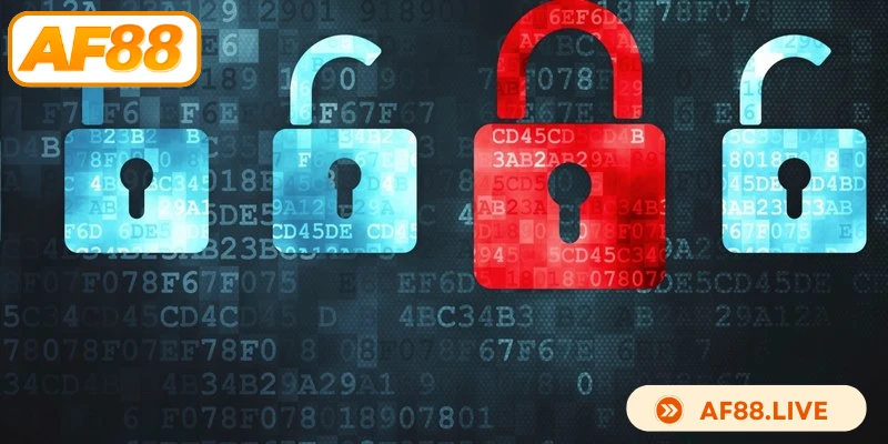 Giám sát quyền riêng tư 24/7 bởi đội ngũ chuyên gia hàng đầu