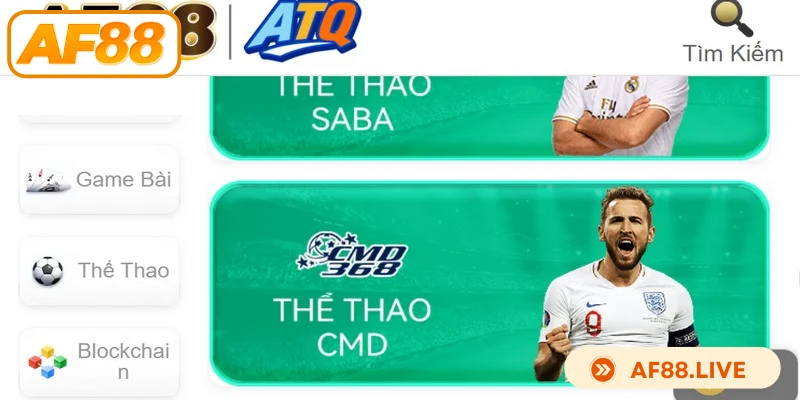 Thể thao AF88 là dịch vụ cá cược trực tuyến chuyên nghiệp