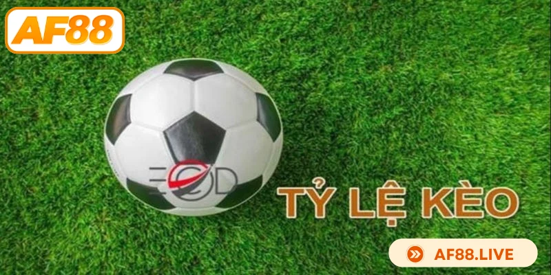 Cách tính tỷ lệ kèo AF88 chuẩn xác anh em nên biết